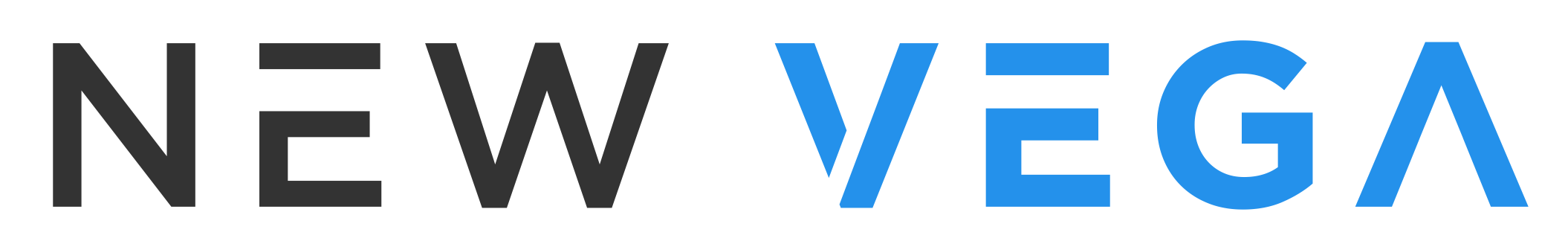 NEW VEGA